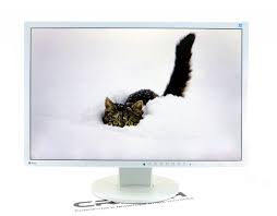 EIZO FlexScan EV2436W - 24.1 INC/FHD+ IPS/1920x1200px/W-LED